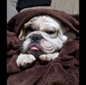 Meet your Posher, Vernon